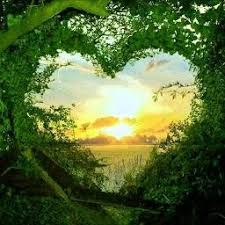 Что такое гармония и как ее достигнуть в повседневной жизни