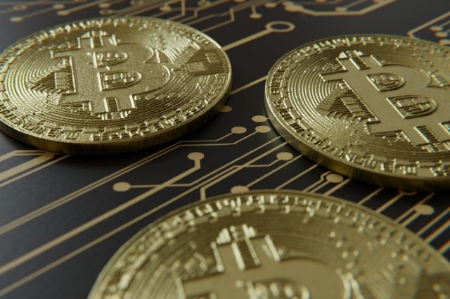 Что такое скам: как распознать закрытие проекта и защититься от потери денег