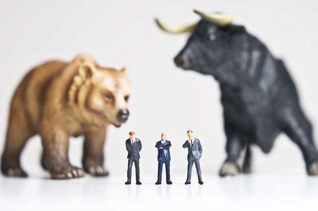 Кто такие быки и медведи на бирже: все, что нужно знать о них инвестору