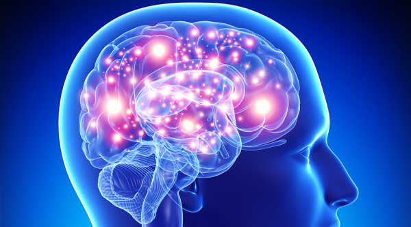5 лучших тренажеров для мозга