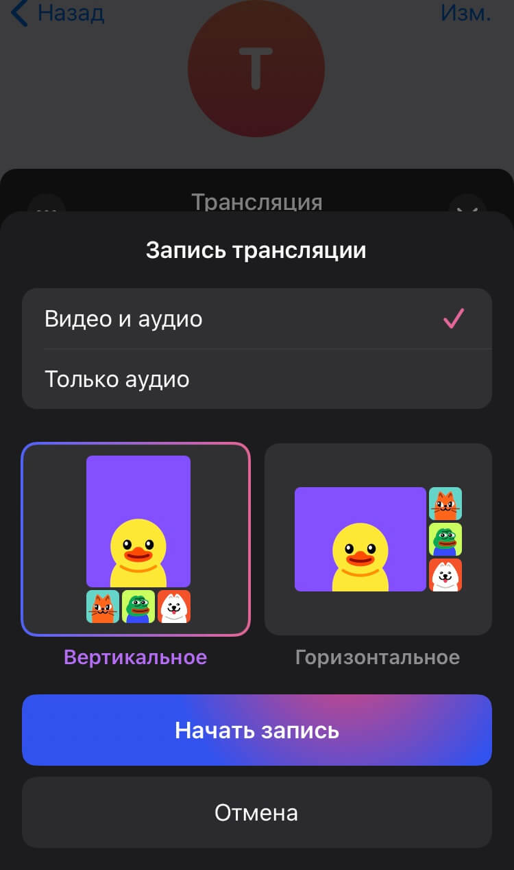 Как сделать запись трансляции в Телеграм