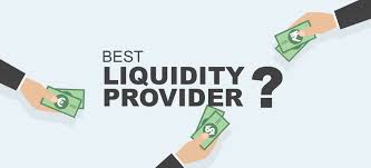 What are the Working Mechanisms of Liquidity Providers?