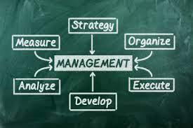 Best Small Business Management Software Solutions for Businesses