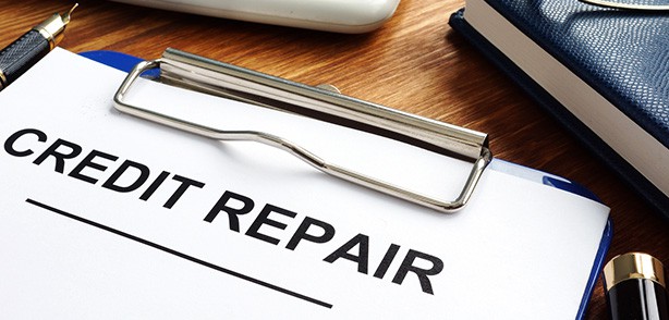 Credit Repair Companies: How Do They Work?
