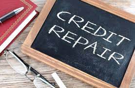Credit Repair Companies: How Do They Work?