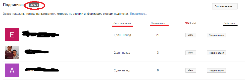 Обзор подписчиков