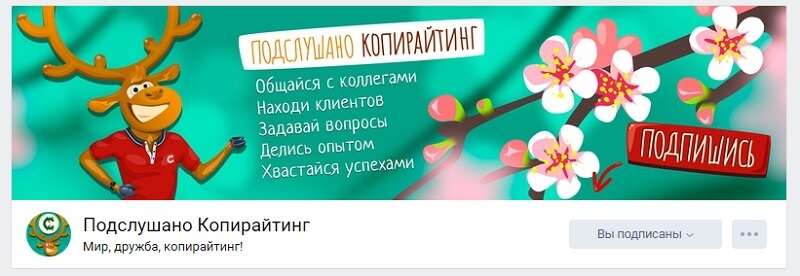Пример оформления шапки группы в Вконтакте