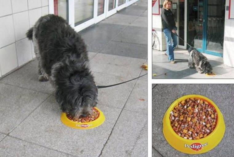 Партизанский маркетинг: что это такое, виды + 15 примеров