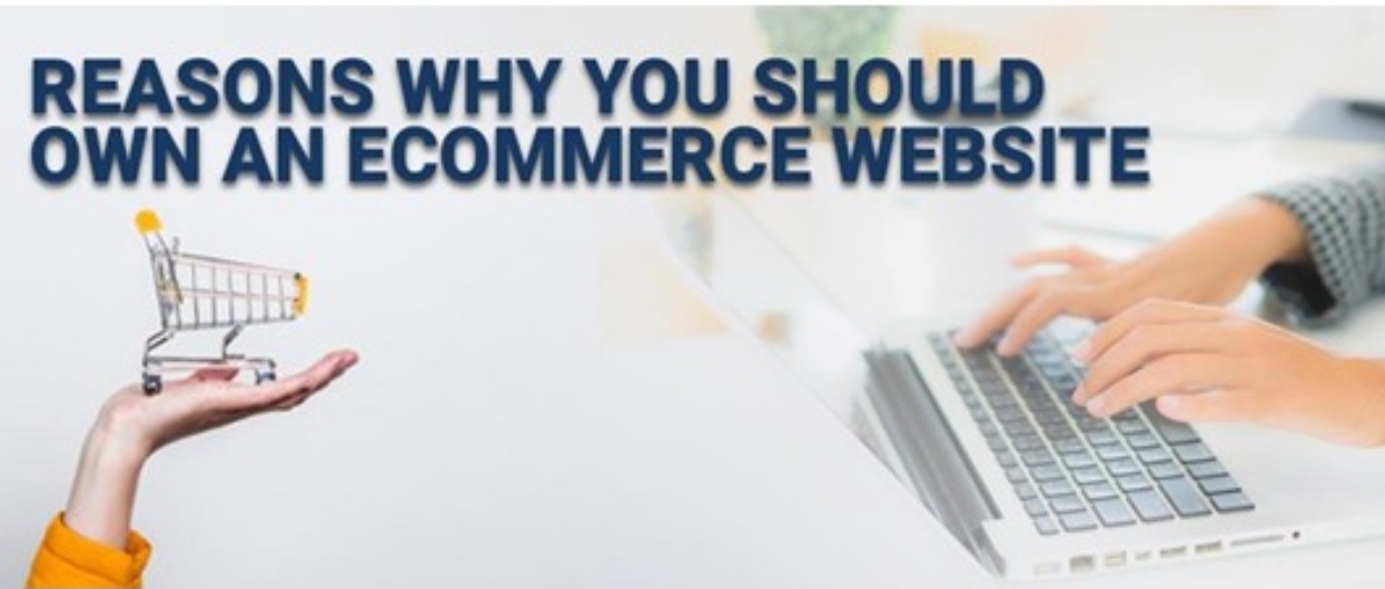 Reasons Why You Should Own an eCommerce Website