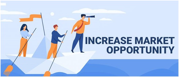 Reasons Why You Should Own an eCommerce Website