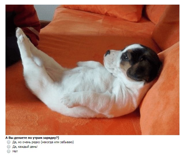 Пример опросов в Фейсбуке