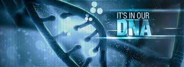 How Businesses Can Make Use of Memes in Digital Age?