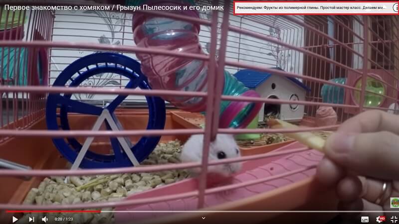 Что такое подсказка в YouTube