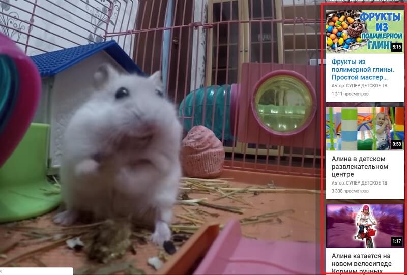 Как посмотреть все подсказки в ролике на ютуб