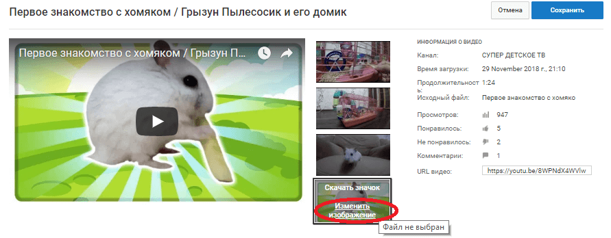 Изменить превью