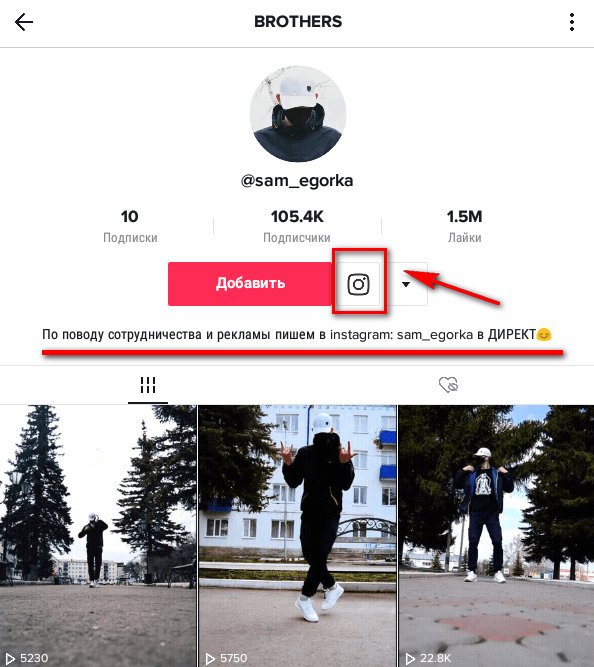 Продвигайте свой Инстаграм через ТикТок