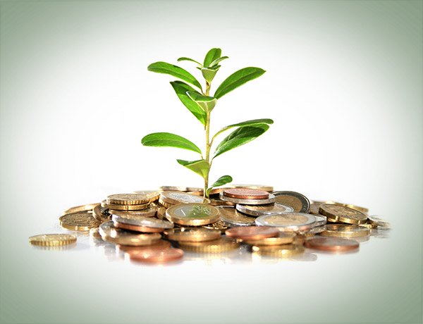 Как заработать на инвестициях: обзор основных инструментов и способов