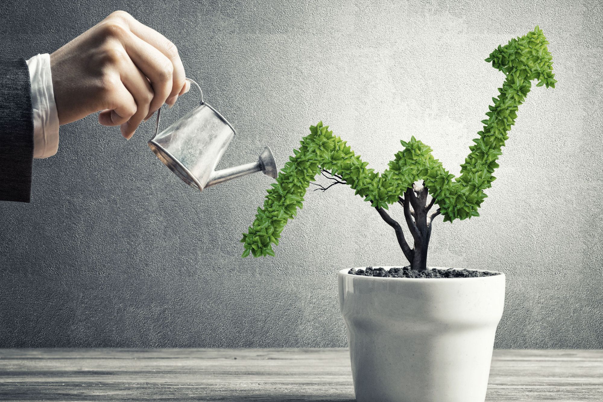 How to Grow The Business – Key Insights for Smooth Transition