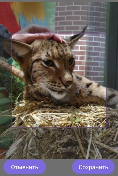 Как поставить значок группы