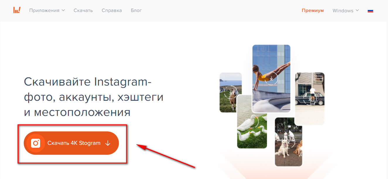 Как использовать 4K Stogram