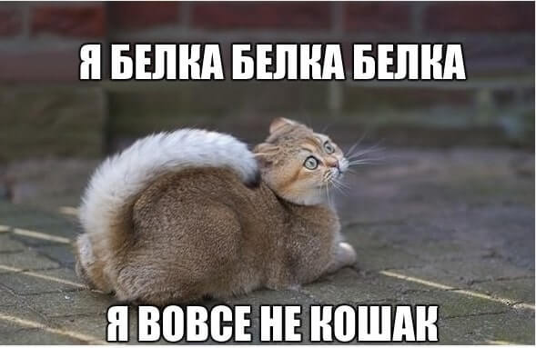 Контент в рекламе и маркетинге: что это такое, где используется, виды контента + 10 примеров