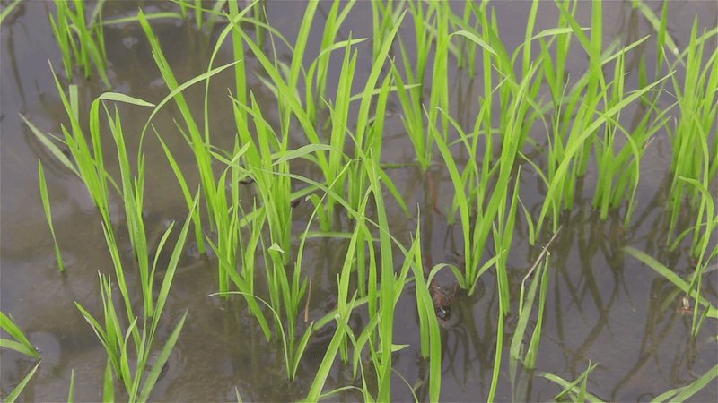 Как создать логотип для строительной компании: от идеи до воплощения