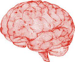 10 Ways to Develop a growth Mindset in Business