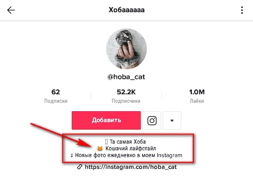 Как добавить описание в профиль