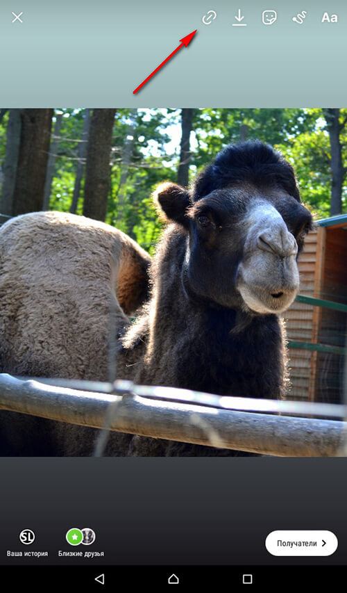 Ссылка в сторис