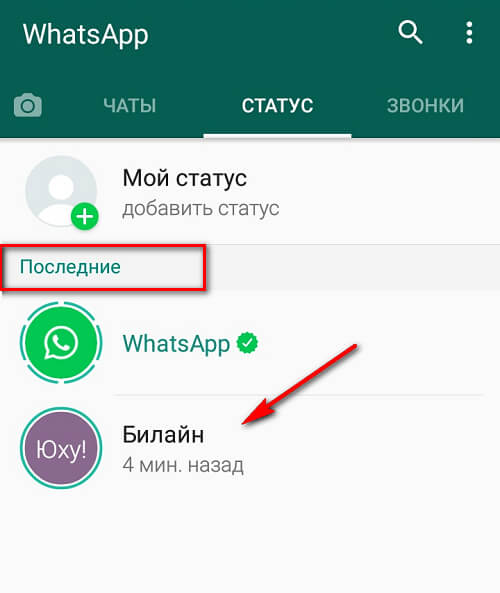 Как посмотреть чужой статус Вотсап