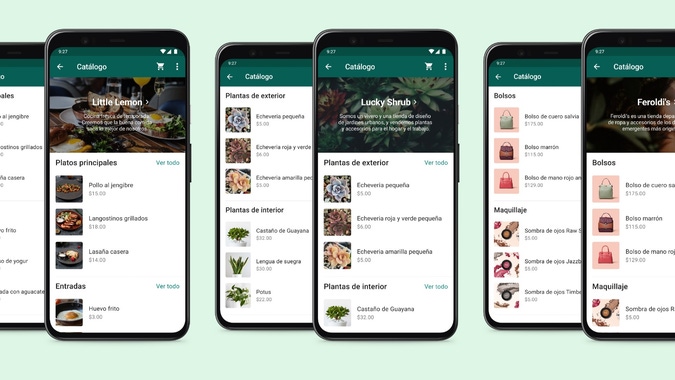 Top 5 WhatsApp Business features to raise Customer Experience