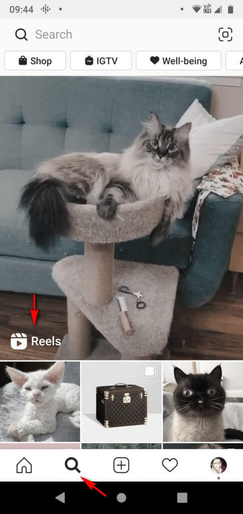 Рекомендации в Инстаграм