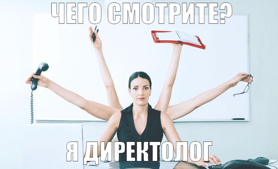 Директолог: кто это
