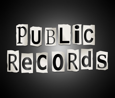 What’s Included in Public Record?