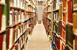 What’s Included in Public Record?