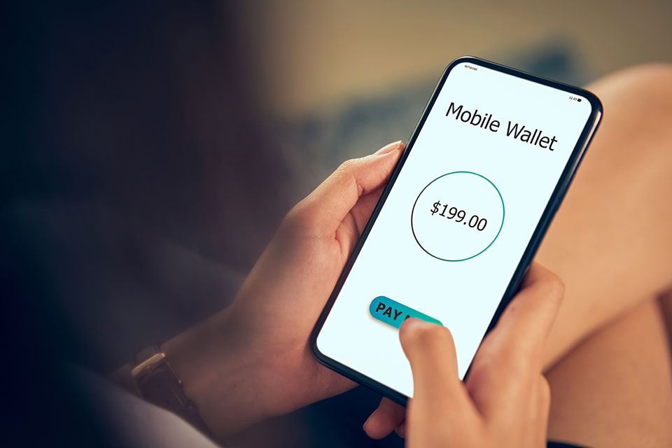 What are The Digital Wallets and Their Types?