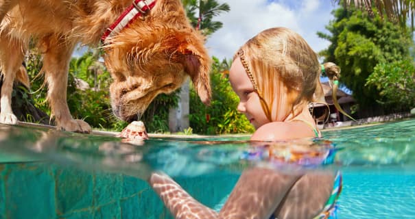 What are The Answers To Common Questions About Financing A Swimming Pool