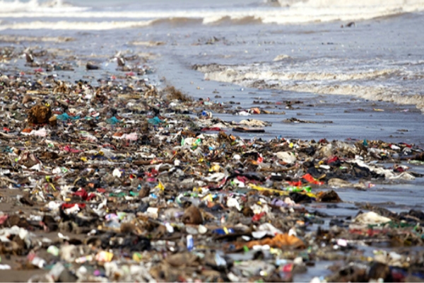 Plastic Pollution its Types, Sources, Effects