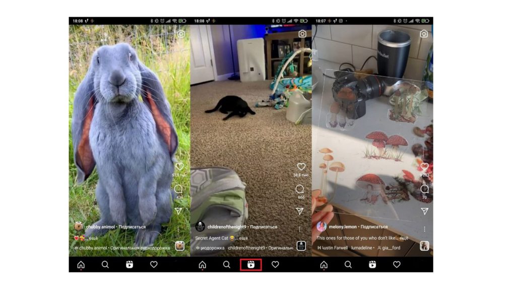 Как заработать первых подписчиков в Инстаграме