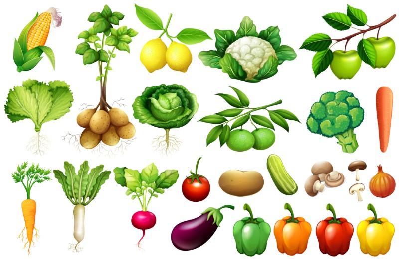 vegetables
