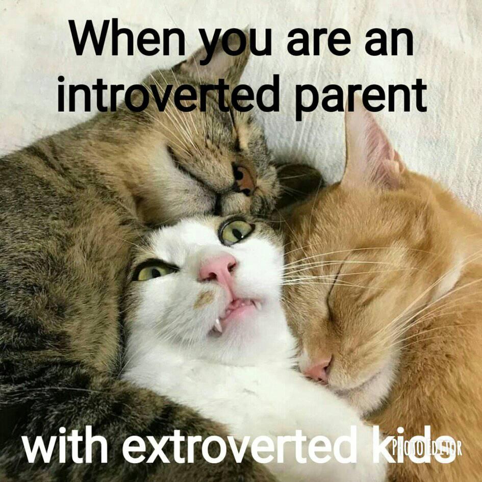 An Introvert Mother of an Extrovert Child Craving for Solitude: Why You should Feel Guilty?