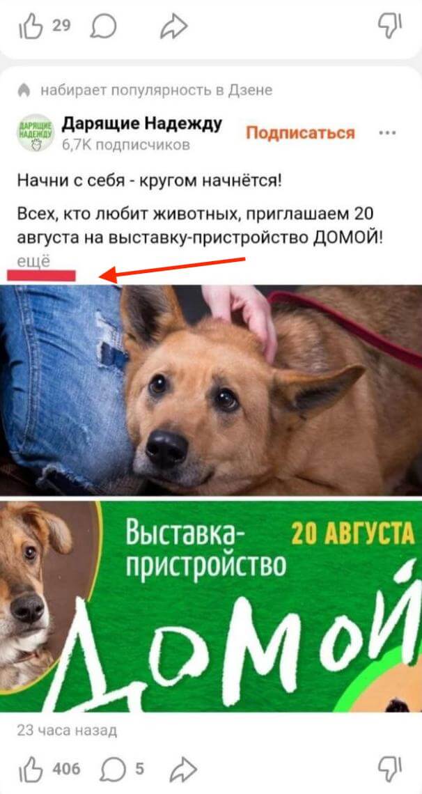 Пост в Яндекс Дзен