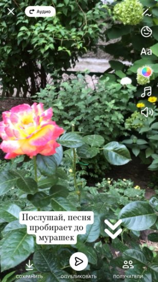 Прикрепленная песня