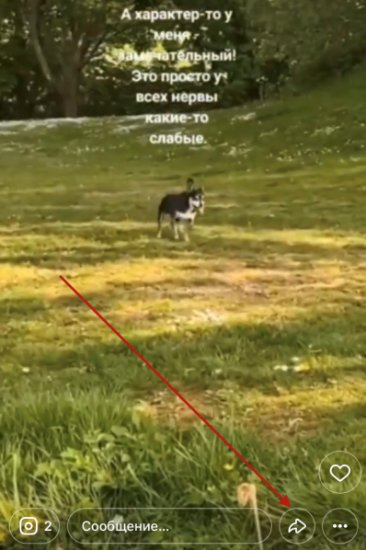 Поделиться чужой Сторис