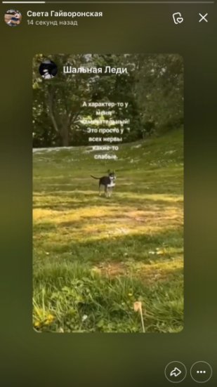 Трансляция чужой Сторис на моей странице