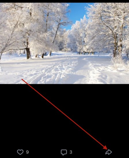 Перепост фотографии