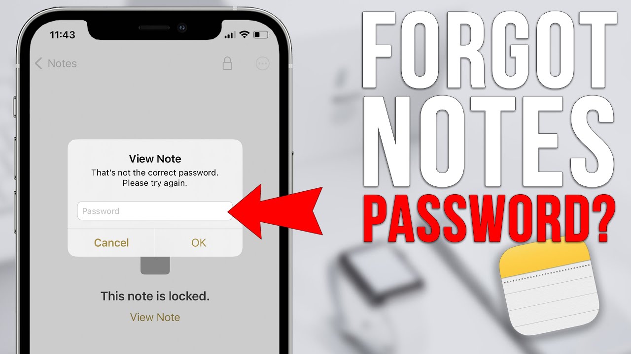 Forgot Notes Password?