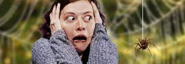 Какие фобии бывают у человека?