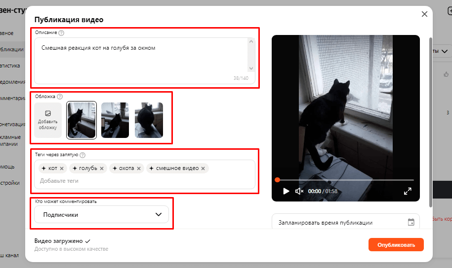 Описание видео