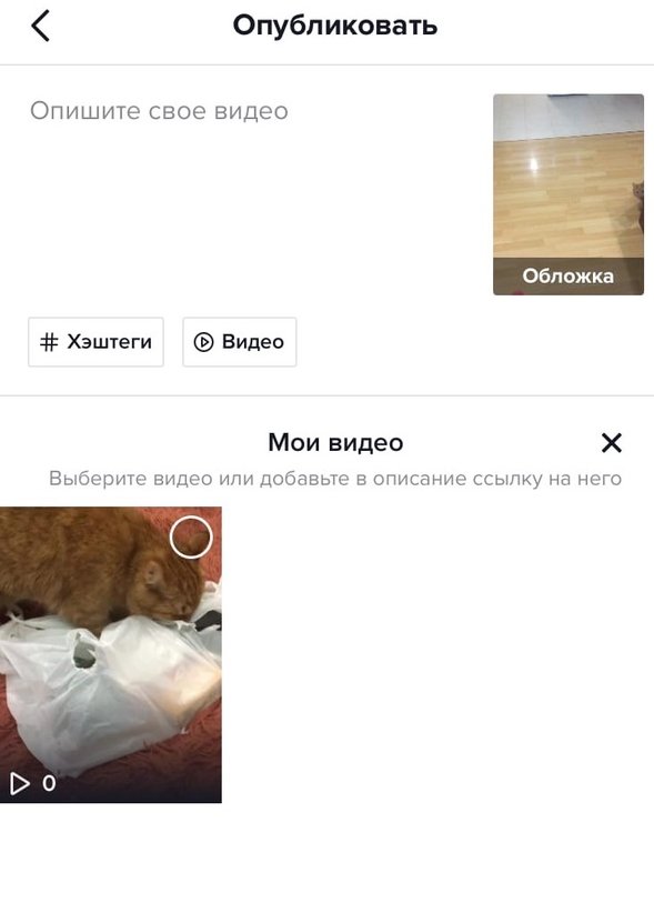 5 неочевидных возможностей TikTok для продвижения видеороликов
